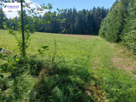 Parduodamas sklypas Vaišupio g., Žiūkų k., Alytaus r. sav., 155.00 a ploto 9