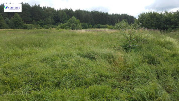 Parduodamas sklypas Papėčių k., Alytaus r. sav., 29.00 a ploto 2