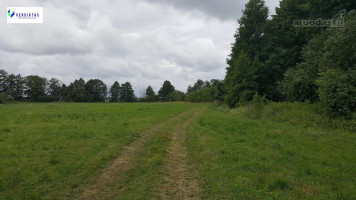 Parduodamas sklypas Papėčių k., Alytaus r. sav., 29.00 a ploto 6