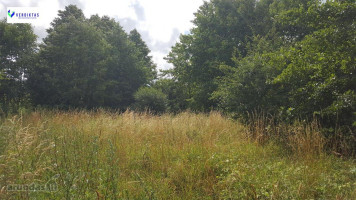 Parduodamas sklypas Papėčių k., Alytaus r. sav., 29.00 a ploto 8