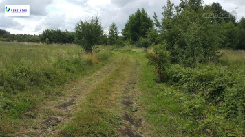 Parduodamas sklypas Papėčių k., Alytaus r. sav., 29.00 a ploto 9
