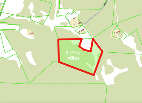 Parduodamas sklypas Platiniškių k., Vilniaus r. sav., 587.00 a ploto