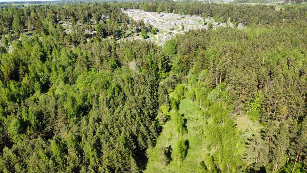 Parduodamas sklypas Girulių k., Vilniaus r. sav., 52.00 a ploto 1