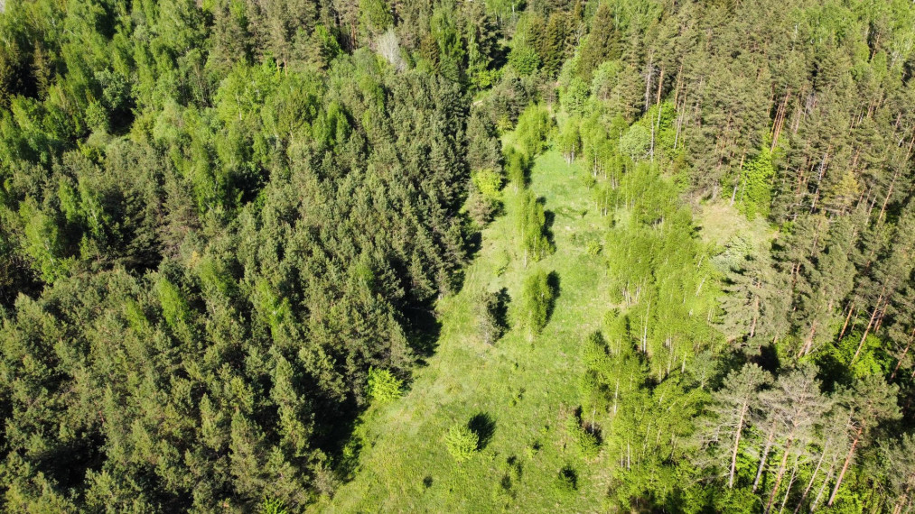 Parduodamas sklypas Girulių k., Vilniaus r. sav., 52.00 a ploto 4