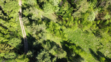 Parduodamas sklypas Girulių k., Vilniaus r. sav., 52.00 a ploto 5