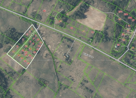Parduodamas sklypas Žemagulių k., 320 a ploto