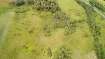 Parduodamas sklypas Žemagulių k., 320 a ploto 6