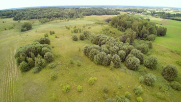 Parduodamas sklypas Žemagulių k., 320 a ploto 7