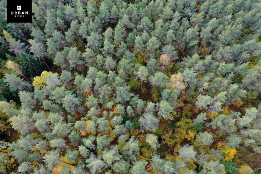 Parduodamas sklypas su ežero pakrante, Senojo Tarpupio k. Trakų raj 3