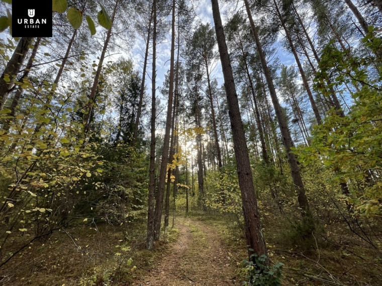 Parduodamas sklypas su ežero pakrante, Senojo Tarpupio k. Trakų raj 7