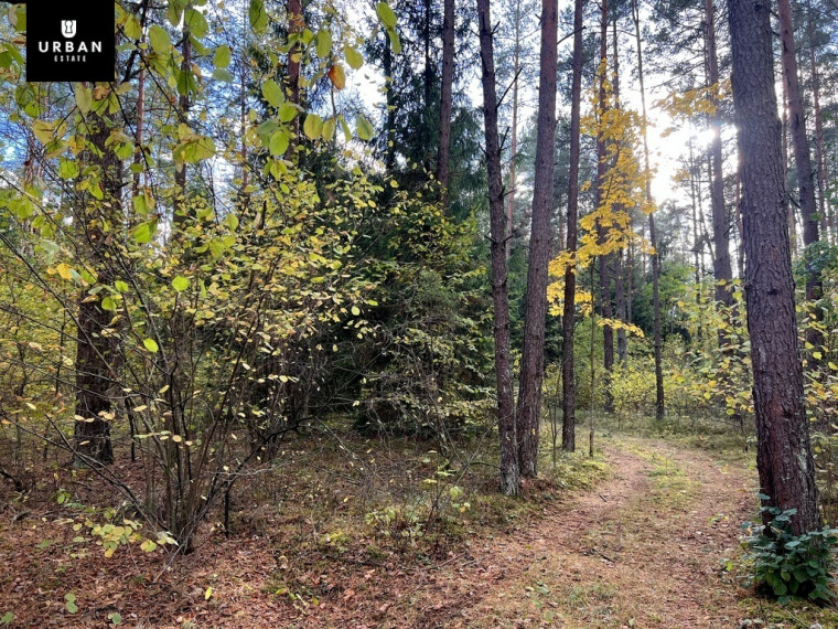 Parduodamas sklypas su ežero pakrante, Senojo Tarpupio k. Trakų raj 8