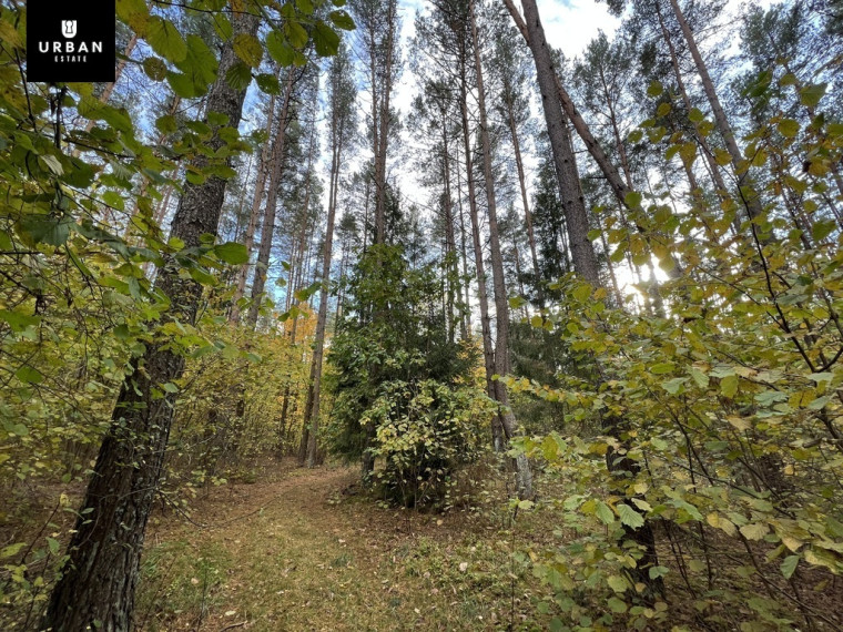 Parduodamas sklypas su ežero pakrante, Senojo Tarpupio k. Trakų raj 10