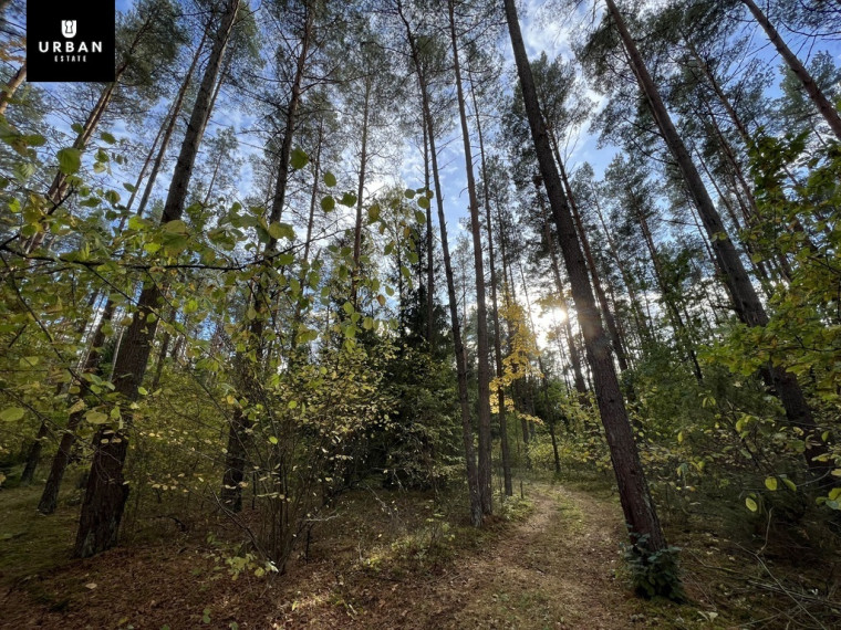 Parduodamas sklypas su ežero pakrante, Senojo Tarpupio k. Trakų raj 11