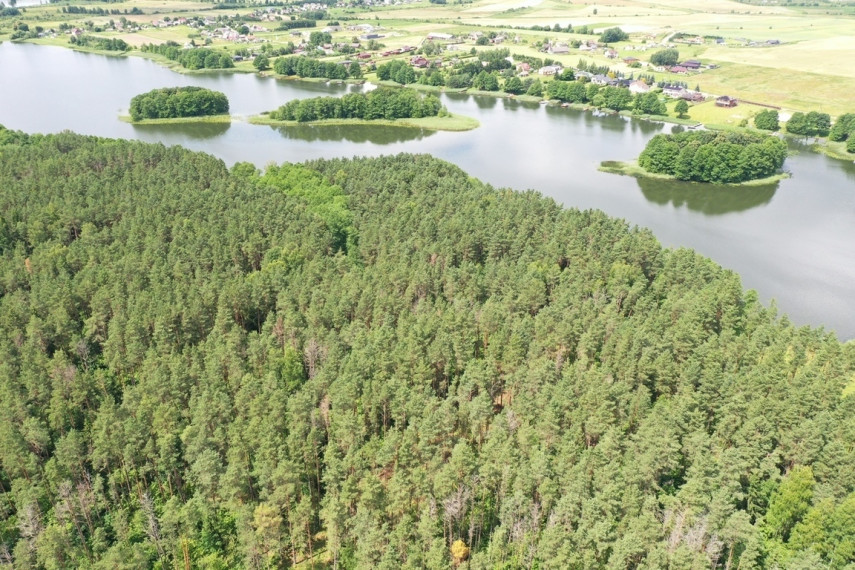 Parduodamas sklypas su ežero pakrante, Senojo Tarpupio k. Trakų raj 13