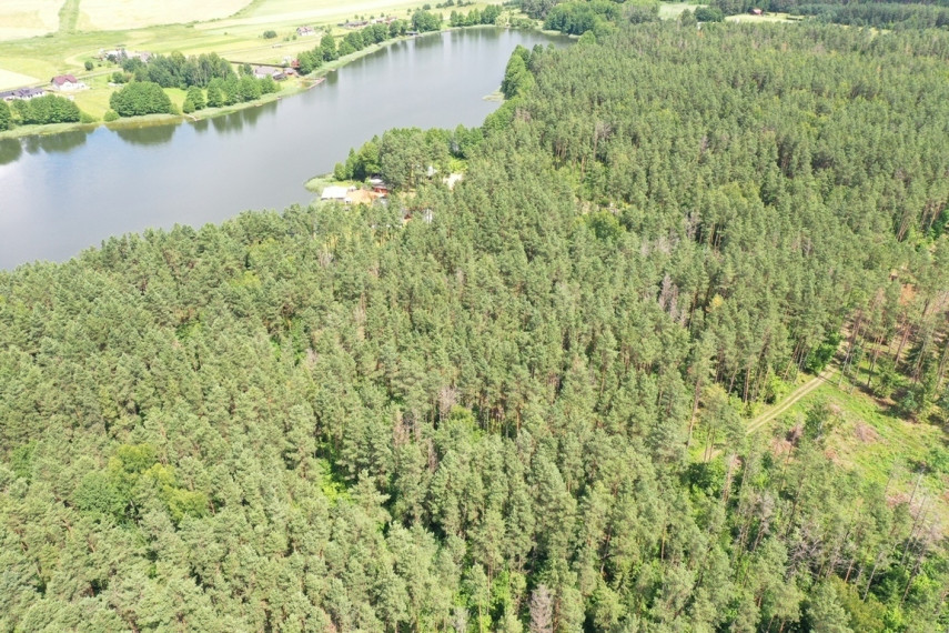 Parduodamas sklypas su ežero pakrante, Senojo Tarpupio k. Trakų raj 15