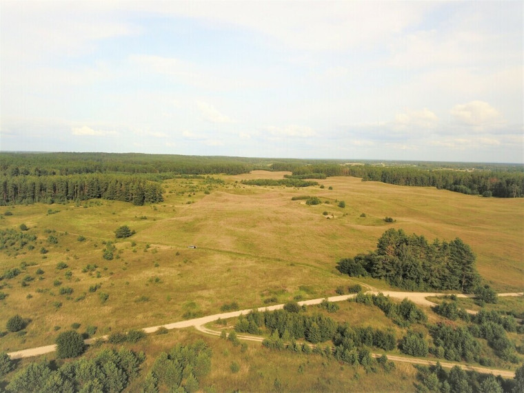 Parduodamas sklypas Gojaus k., 3126 a ploto 6