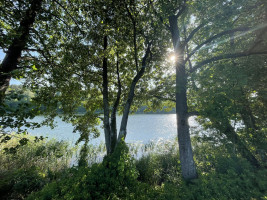 Parduodamas sklypas Drabužininkų k., 110 a ploto 3