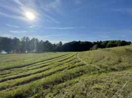 Parduodamas sklypas Drabužininkų k., 110 a ploto 7