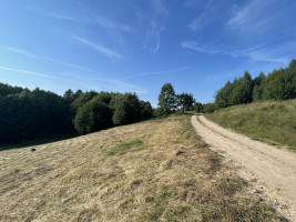 Parduodamas sklypas Drabužininkų k., 110 a ploto 17