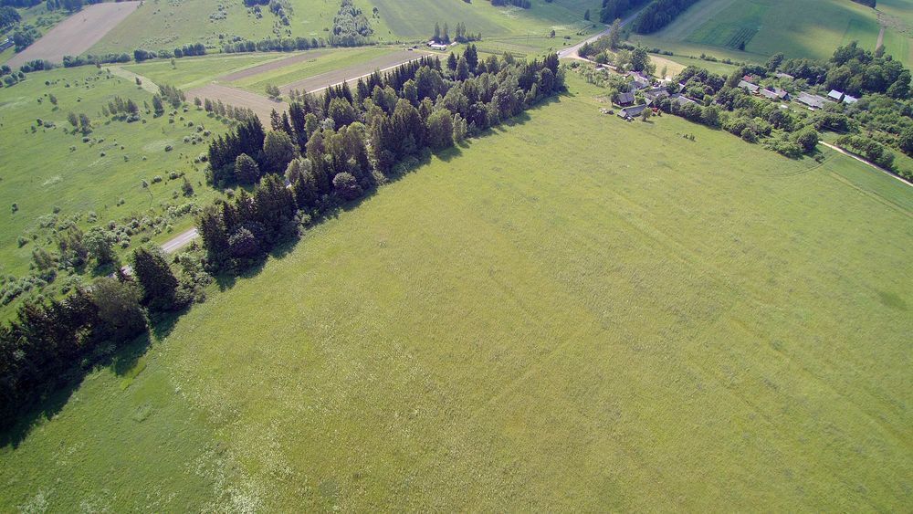 Parduodamas žemės sklypas Gulbinės k. Vilniaus rajone, 305 a ploto, ūkininko sodybai 4