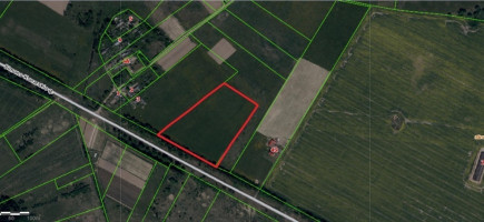 Parduodamas žemės sklypas Gulbinės k. Vilniaus rajone, 305 a ploto, ūkininko sodybai 9