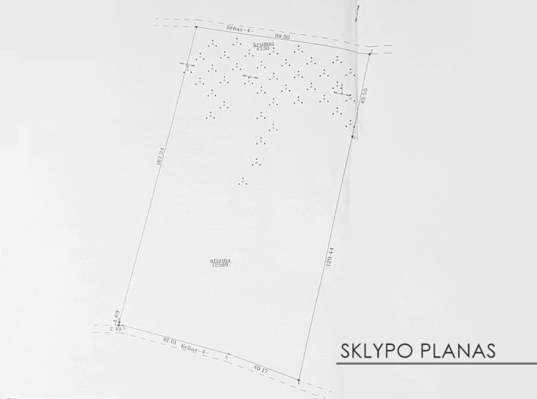 Parduodamas sklypas Bareikiškių k., 173.19 a ploto 3