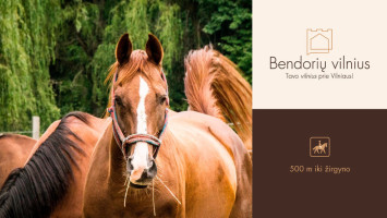 Parduodamas sklypas Bendorių k., su miesto komunikacijomis 20