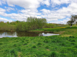 Parduodamas sklypas Padvarionių k., Trakų r. sav., 133 a ploto 11