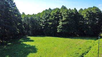 Parduodamas kitos paskirties sklypas Miško g., Baltosios Vokės k., Vilniaus r. sav., 160 a ploto 14