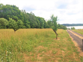 Parduodamas  sklypas Būtkiemio k., Kaišiadorių r. sav., 25 a ploto 3