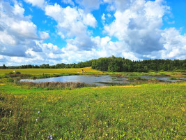 Parduodamas sklypas Sarickų k., Anykščių r. sav., 2497.44 a ploto 2