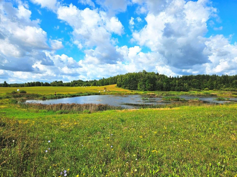 Parduodamas sklypas Sarickų k., Anykščių r. sav., 2497.44 a ploto 2
