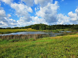 Parduodamas sklypas Sarickų k., Anykščių r. sav., 2497.44 a ploto 3