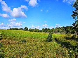 Parduodamas sklypas Sarickų k., Anykščių r. sav., 2497.44 a ploto 4