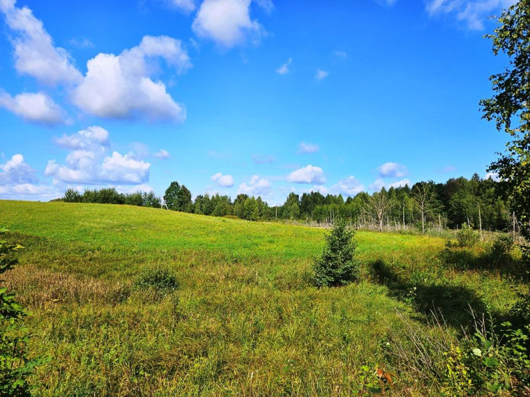 Parduodamas sklypas Sarickų k., Anykščių r. sav., 2497.44 a ploto 4