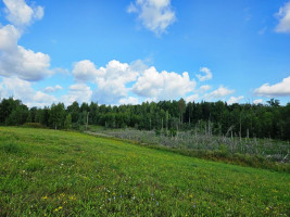 Parduodamas sklypas Sarickų k., Anykščių r. sav., 2497.44 a ploto 5