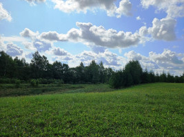 Parduodamas sklypas Sarickų k., Anykščių r. sav., 2497.44 a ploto 6