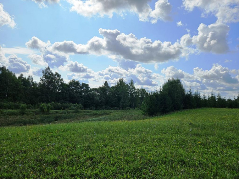 Parduodamas sklypas Sarickų k., Anykščių r. sav., 2497.44 a ploto 6