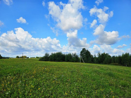 Parduodamas sklypas Sarickų k., Anykščių r. sav., 2497.44 a ploto 7