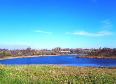 Parduodamas sklypas Lukštinių k., Rokiškio r. sav., 103 a ploto