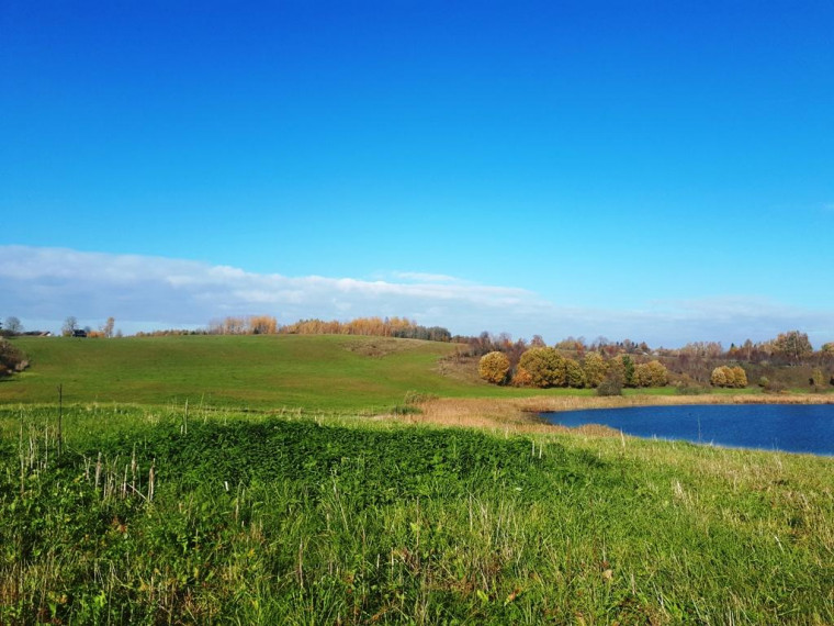 Parduodamas sklypas Lukštinių k., Rokiškio r. sav., 103 a ploto 3