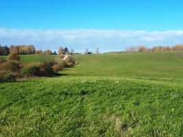 Parduodamas sklypas Lukštinių k., Rokiškio r. sav., 103 a ploto 5