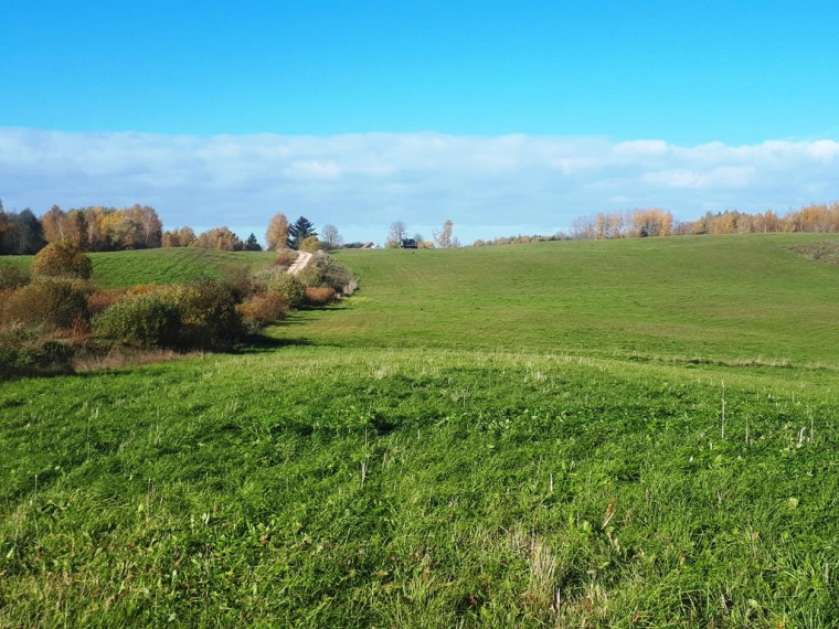 Parduodamas sklypas Lukštinių k., Rokiškio r. sav., 103 a ploto 5