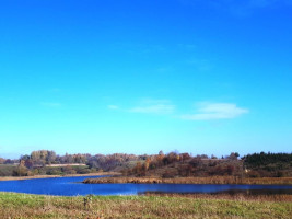 Parduodamas sklypas Lukštinių k., Rokiškio r. sav., 103 a ploto 7
