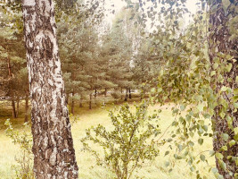 Parduodamas namas Parko, Gricių k., Jurbarko r. sav., 96.04 m2 ploto, 1 aukštai 11