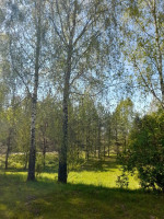 Parduodamas namas Parko, Gricių k., Jurbarko r. sav., 96.04 m2 ploto, 1 aukštai 12