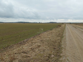 Parduodamas  sklypas Agluonėnų k., Klaipėdos r. sav., 110 a ploto 4