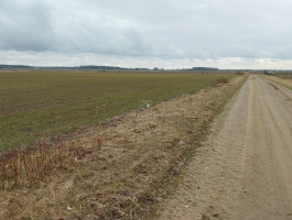 Parduodamas  sklypas Agluonėnų k., Klaipėdos r. sav., 110 a ploto 9