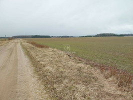 Parduodamas  sklypas Agluonėnų k., Klaipėdos r. sav., 110 a ploto 3