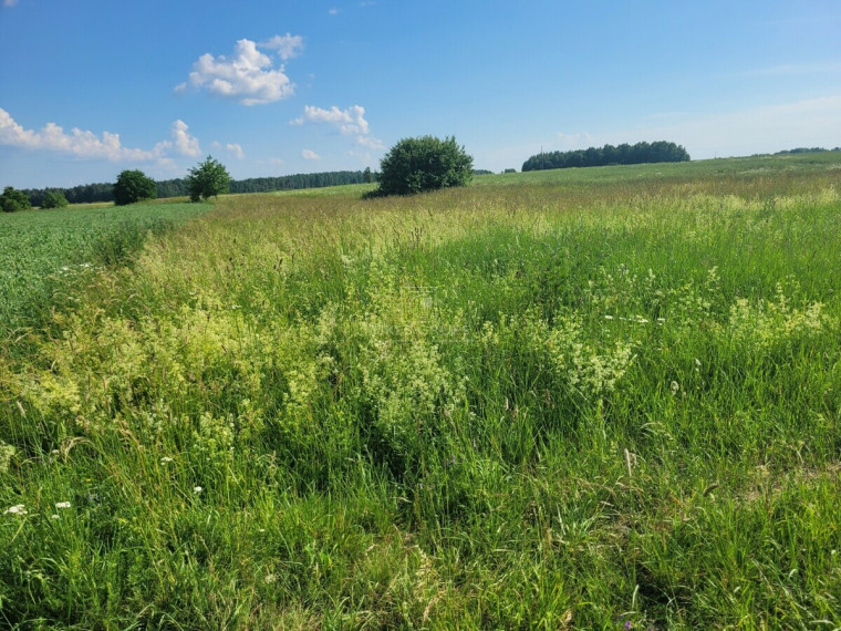 Parduodamas  sklypas Jokūbavo k., Kretingos r. sav., 21 a ploto 6